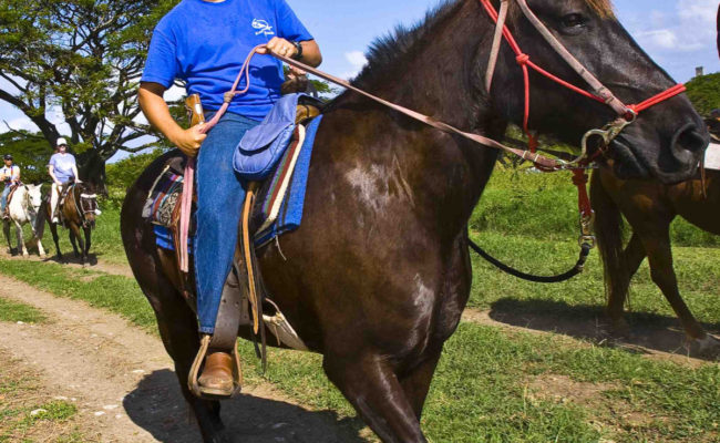 Kualoa Horseback
